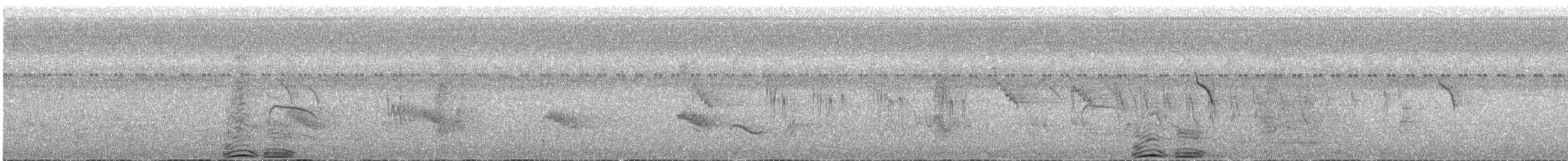 kamiš růžkatý - ML646061440