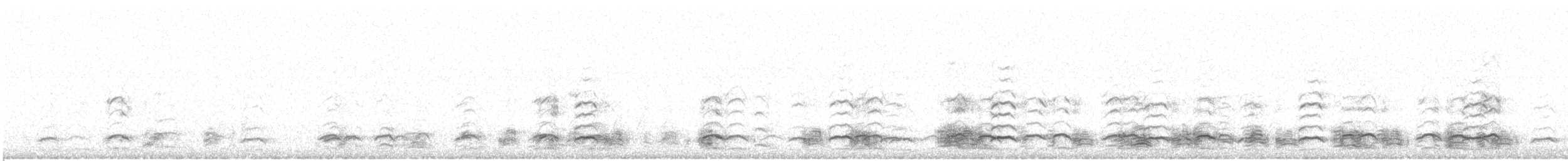 Snow Goose - ML646061561