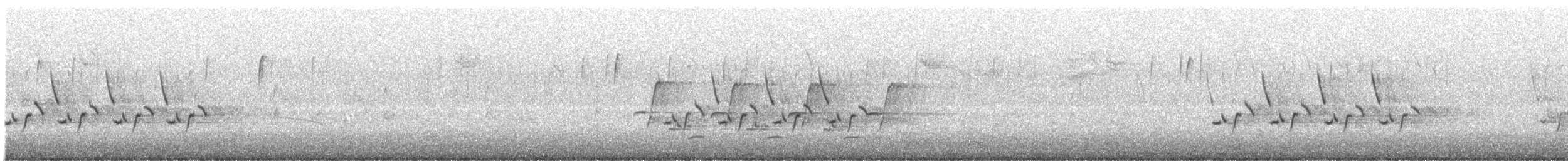 Carolina Wren - ML646061704