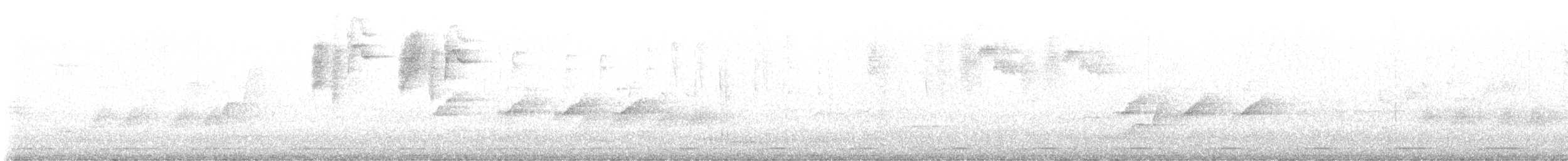 Wonga Pigeon - ML646061753