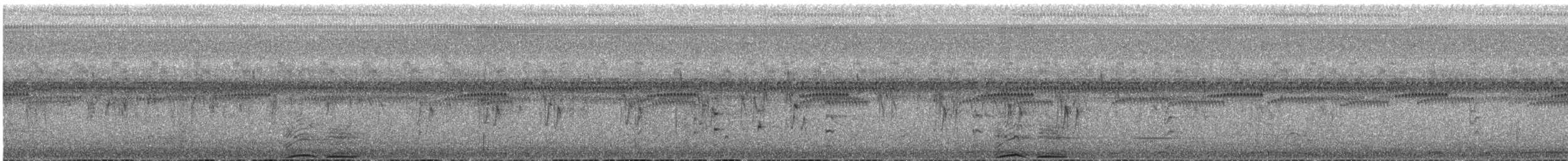 kamiš růžkatý - ML646061778