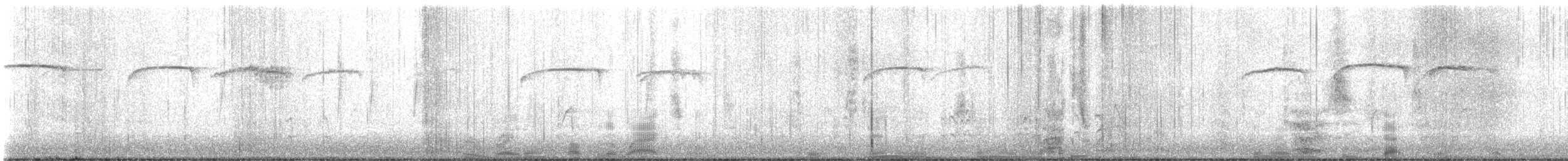 ציצנית אמריקנית - ML646062419