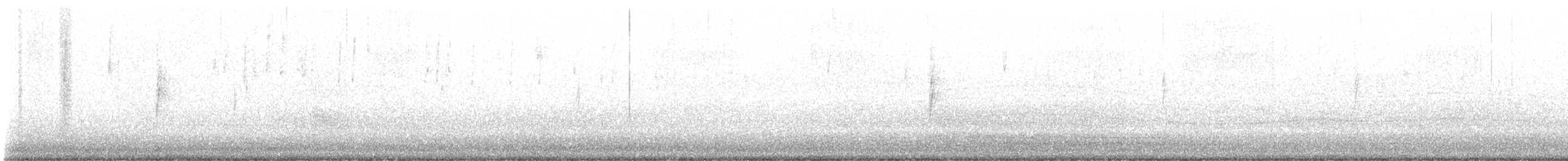 סבכון הכתר - ML646062436