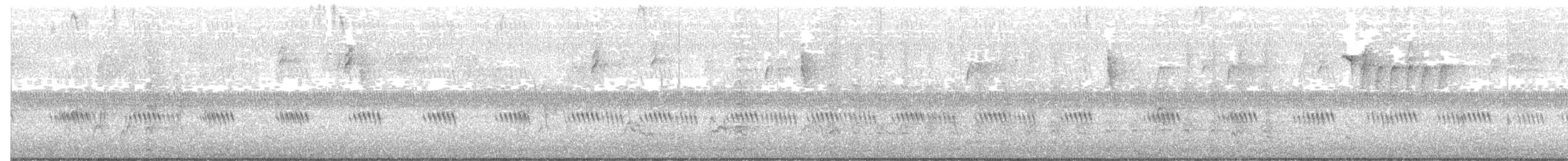 Cooper's Hawk - ML646062439