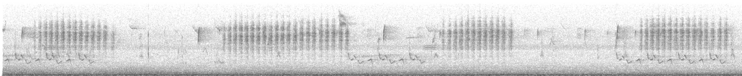 Northern House Wren - ML646062444