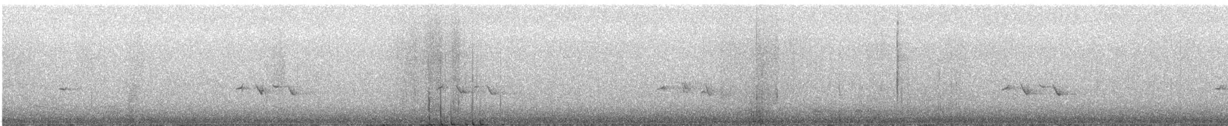 Hakengimpel - ML646062500