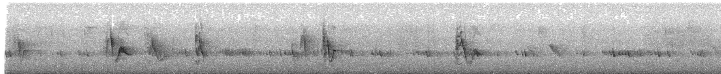 Yellow-winged Vireo - ML646062720