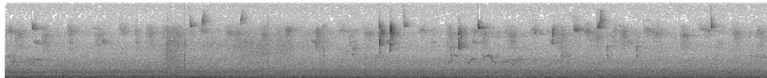 Slaty Flowerpiercer - ML646062751