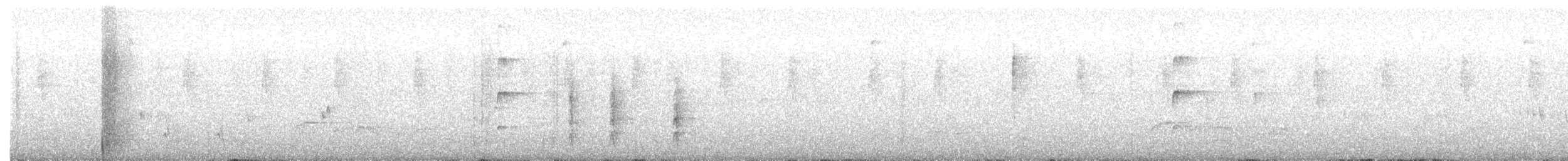 Mountain Thrush - ML646062906