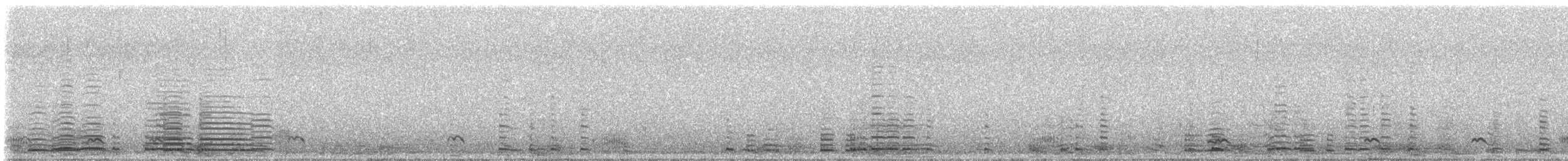 labuť trubač - ML646064477