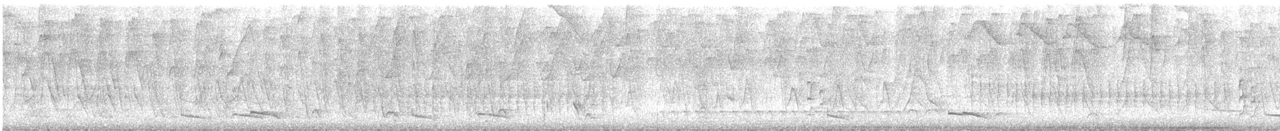 střízlík běloprsý - ML646064728