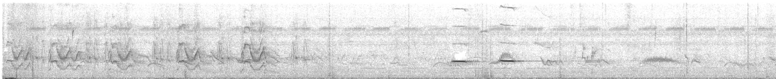 Striped Cuckoo - ML646064934