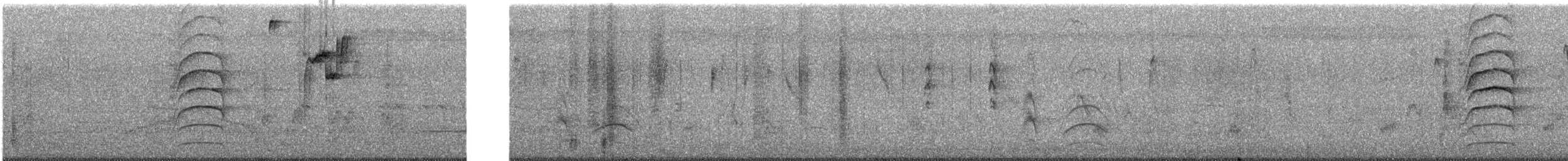 Great Kiskadee - ML646065269