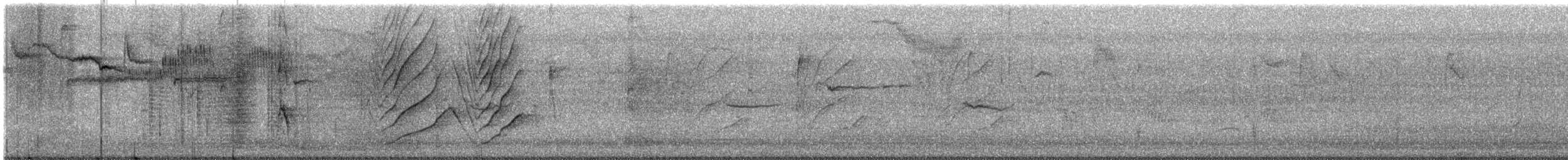 Bronzed Cowbird - ML646065287