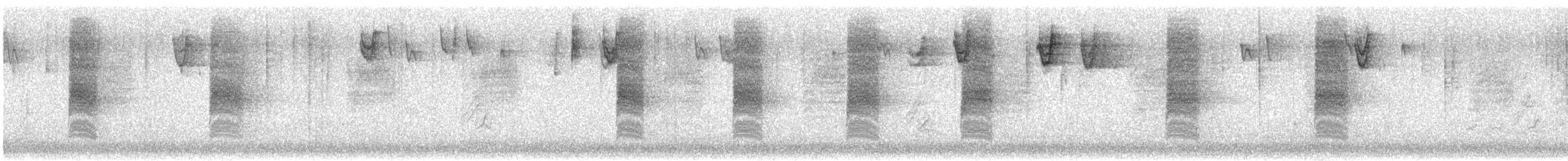 Bewick's Wren - ML646065472