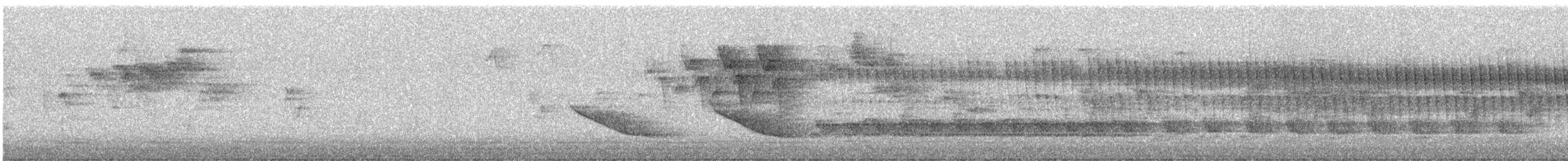 Blackpoll Warbler - ML646065473