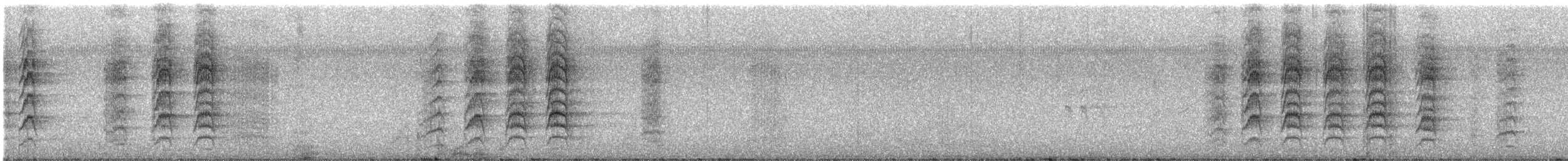 Green Parakeet - ML646065474