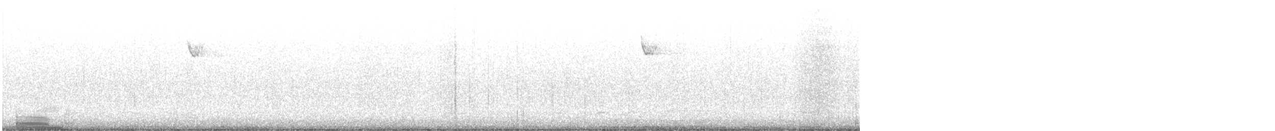 strnadec bělohrdlý - ML646065631