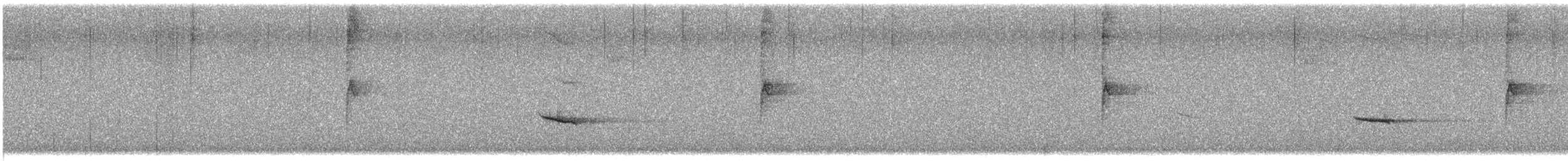 Hermit Thrush - ML646065813