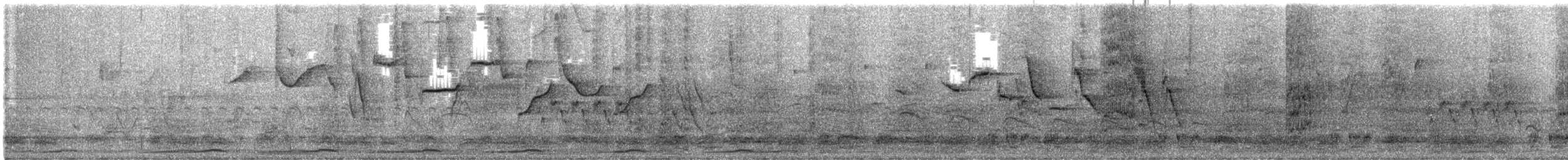 Chaco Chachalaca - ML646065989