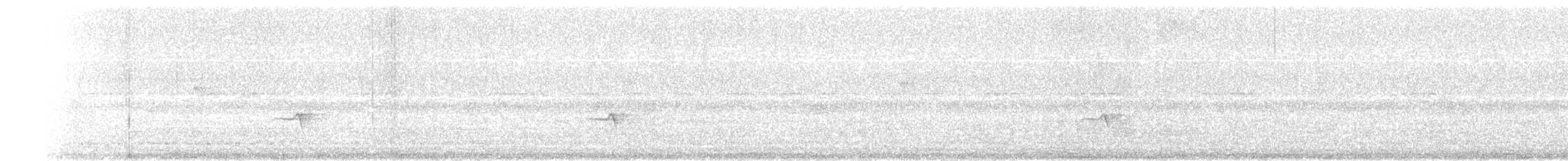 Mistletoe Tyrannulet - ML646066758