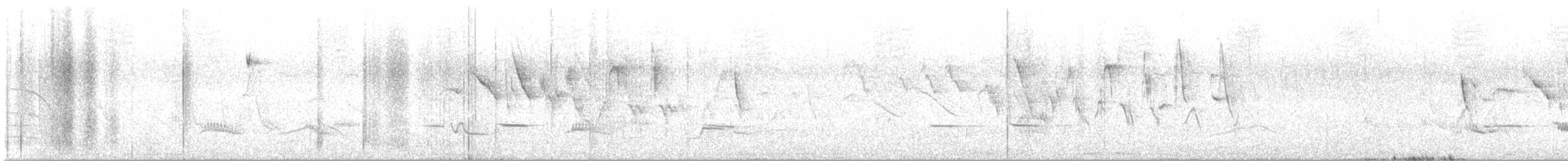 Striped Cuckoo - ML646067275