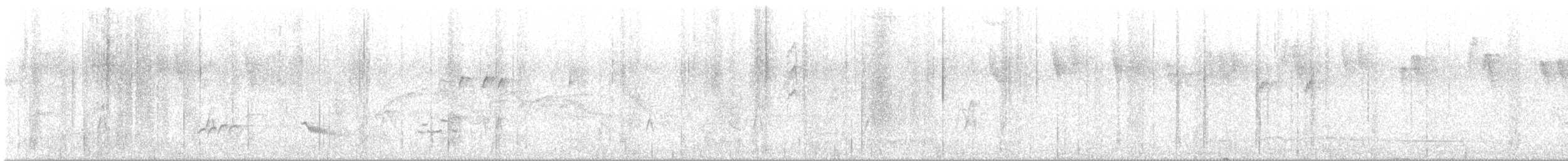 Creamy-bellied Thrush - ML646067331