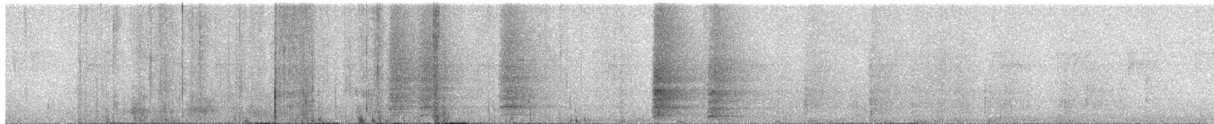 Acorn Woodpecker - ML646067559