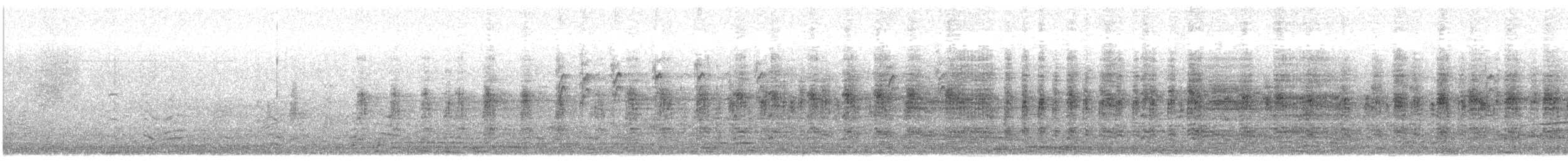 普通珠雞(馴化) - ML646067892