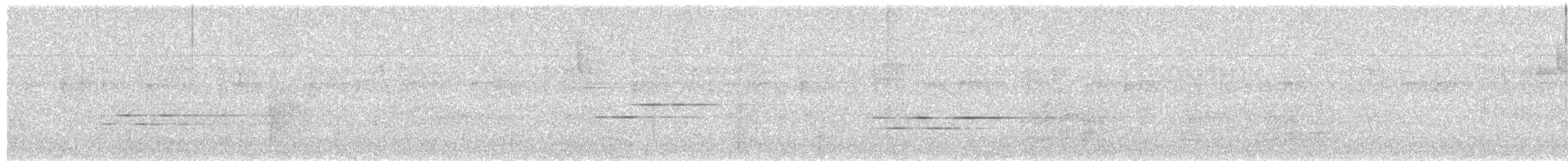 Black-faced Solitaire - ML646068441