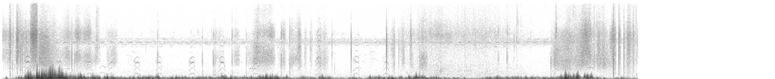 Black-necked Stilt - ML646068469