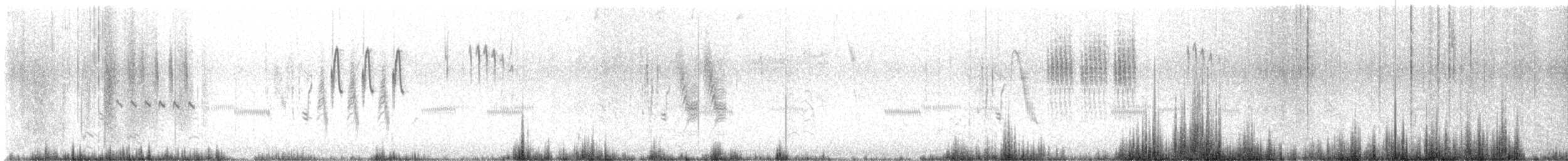 Grass Wren - ML646068559