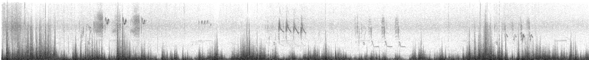 Grass Wren - ML646068577