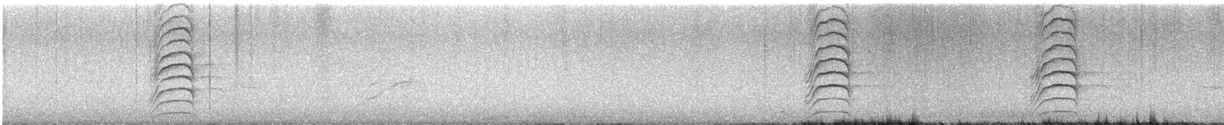 Great Kiskadee - ML646068660