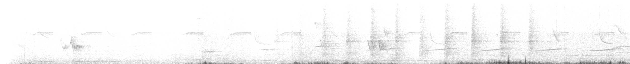 White-bellied Seedeater - ML646068673