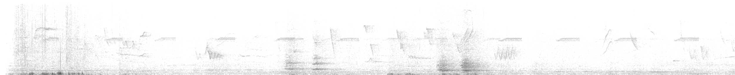 White-bellied Seedeater - ML646068674