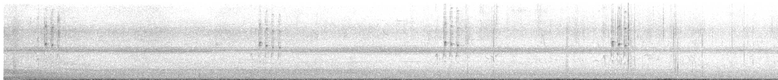 Checkered Woodpecker - ML646068769