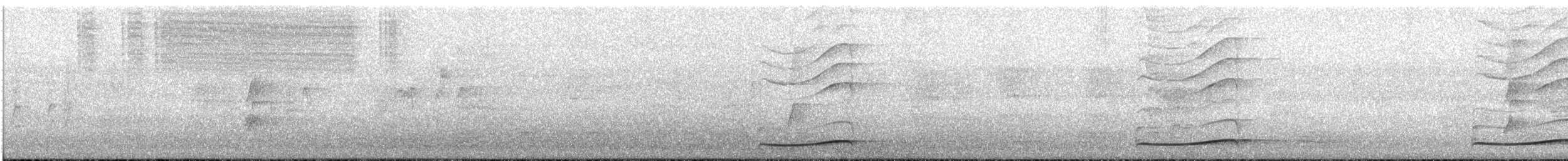 Pacific Koel - ML646068904