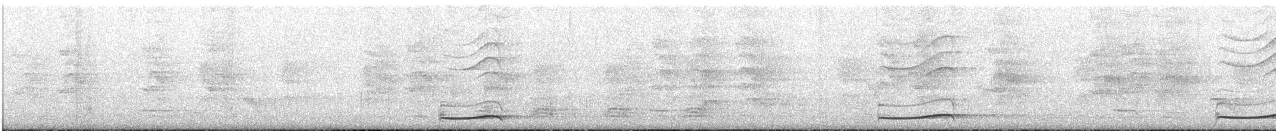 Pacific Koel - ML646068905