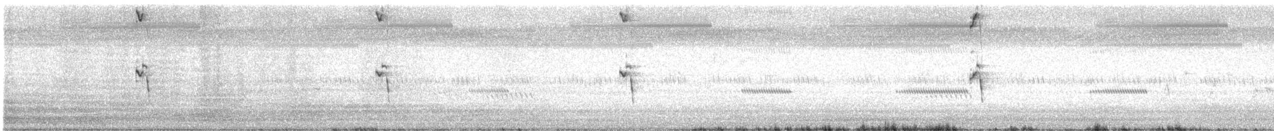 Australian Pipit - ML646068941