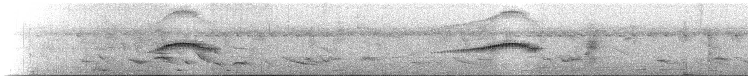 Süssüz İnezya - ML646070203