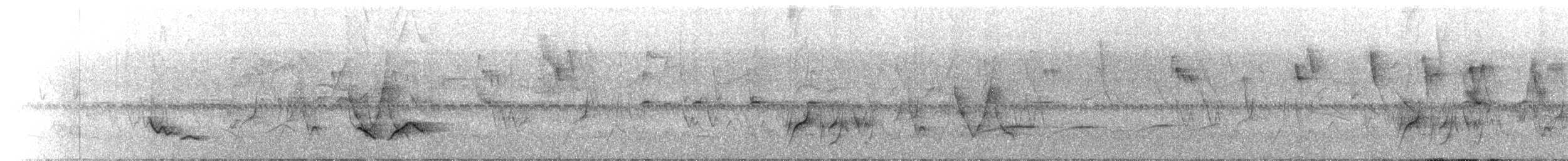 Çizgili Büyük Tiran - ML646071194