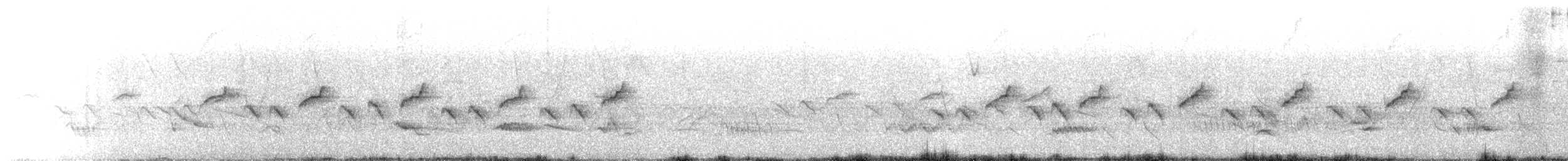 Rahmbauchdrossel - ML646071395