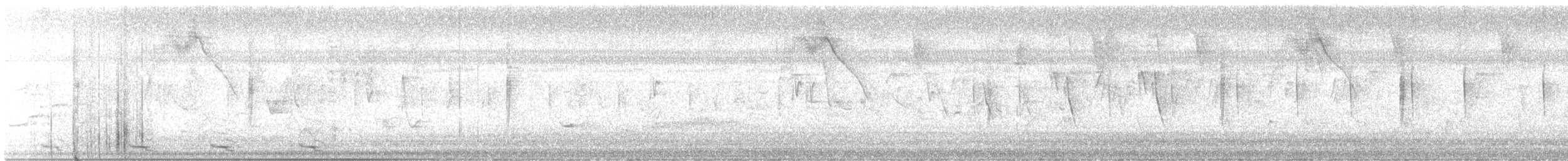 Zwergkuckuck - ML646071415