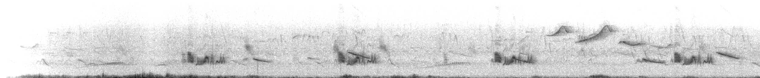 Graubrust-Olivtyrann - ML646071455