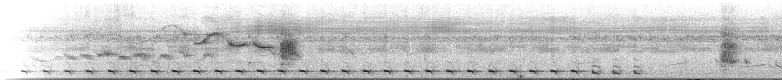 Surucuátrogon - ML646071523