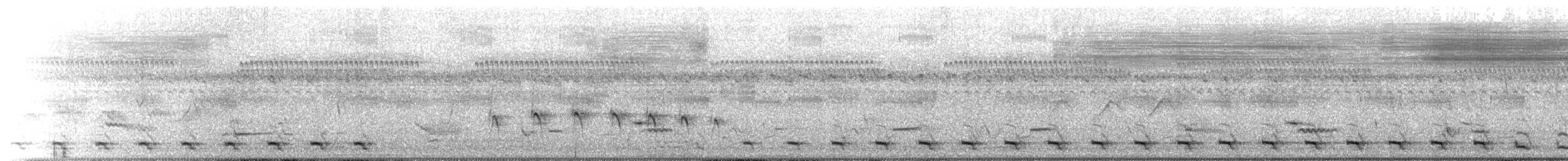 Surucuátrogon - ML646071556