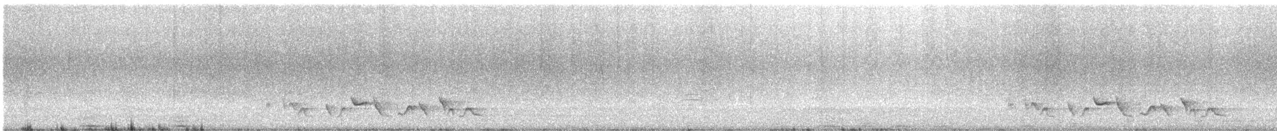 Rostbrauenvireo (insularis) - ML646071598