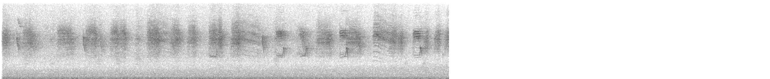 Cozumelzaunkönig - ML646071623