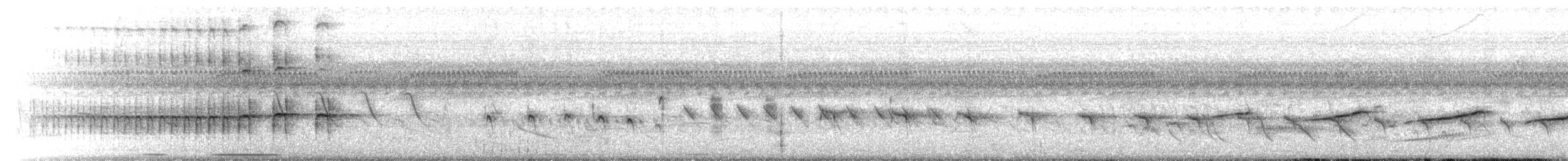 Zweifarbenspelzer - ML646071781